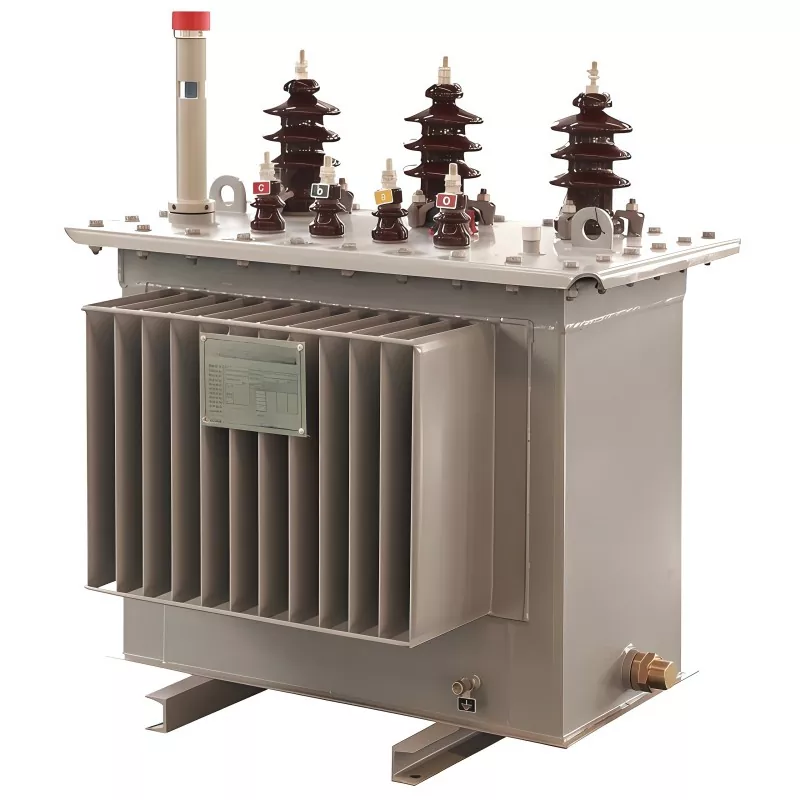 100KVA 11KV öljyupotettu muuntaja